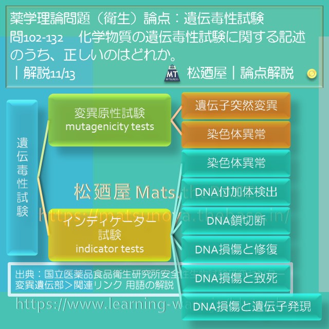 松廼屋 mats thebase