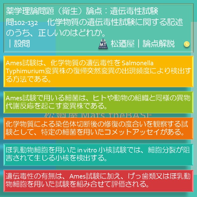 松廼屋 mats thebase