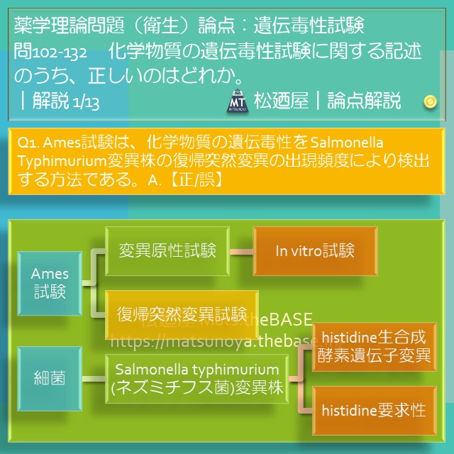 松廼屋 mats thebase
