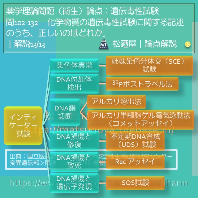 松廼屋 論点解説 薬剤師国家試験対策ノート問102 132 衛生 論点 遺伝毒性試験 3 松廼屋 mats thebase