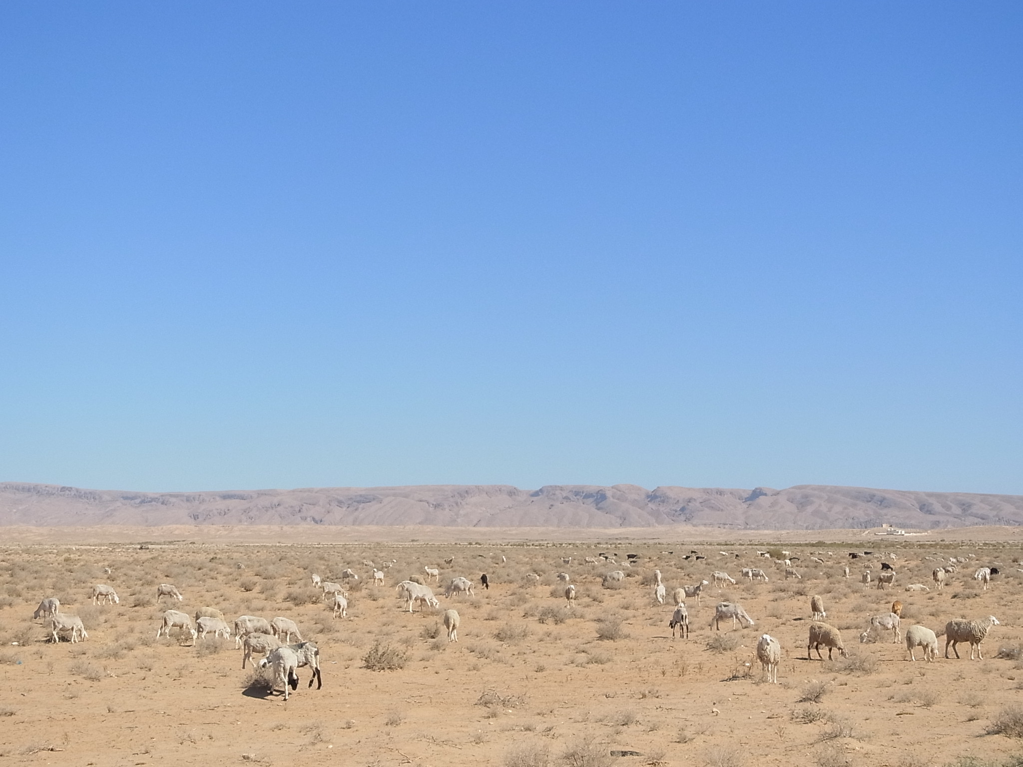 チュニジアの旅 Tsuitachi Craft Brocante