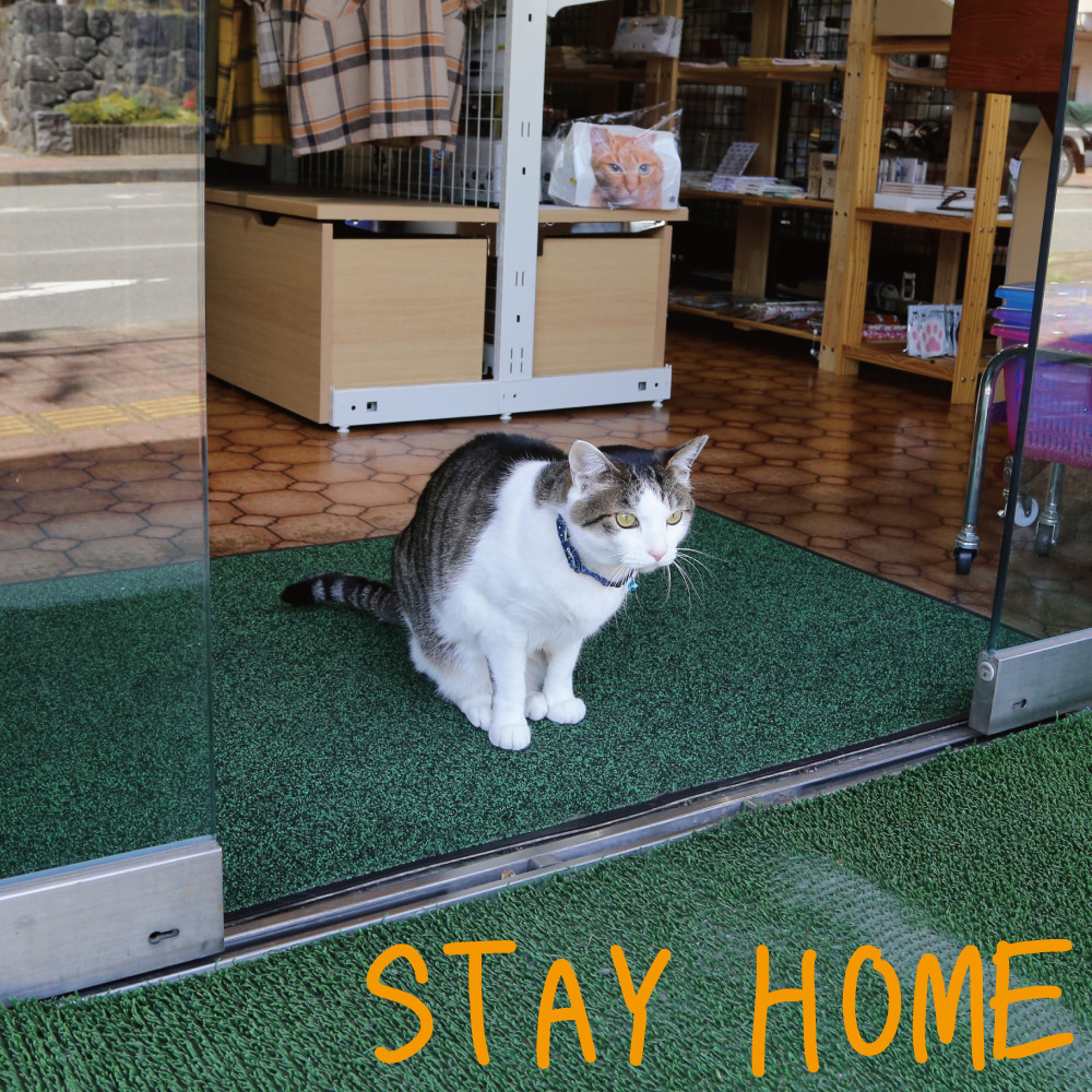 猫店長も マスノヤ衣料品店 マスノヤ猫雑貨店