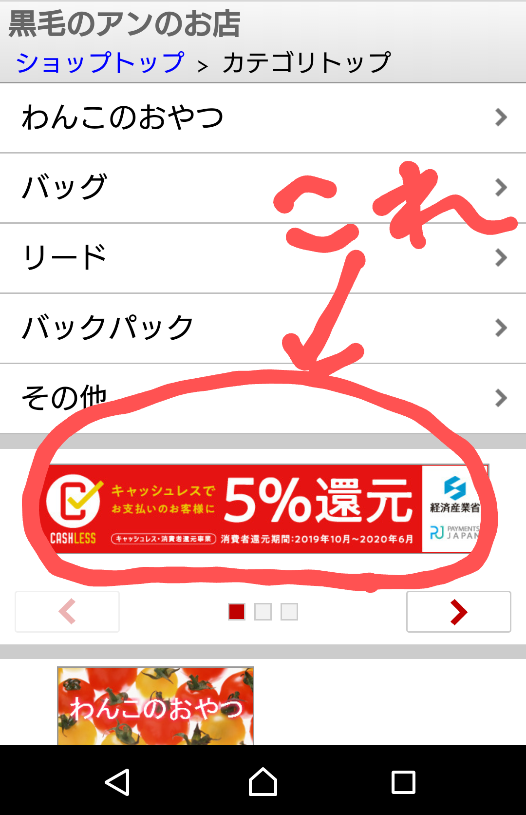 黒毛のアンのお店 楽天市場店は 政府のキャッシュレス 消費者還元事業に加盟店登録されました 黒毛のアン Anne Of Blackgables
