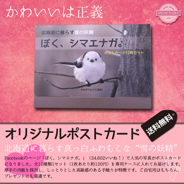 誰もが癒される 雪の妖精 シマエナガのポストカードセット ぼく シマエナガ 誰もが癒される 雪の妖精 シマエナガのポストカードセット ぼく シマエナガ