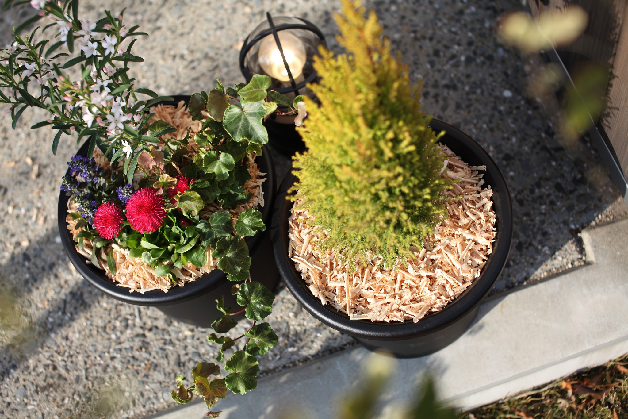 bouteille d'eau coupée dans un paillis