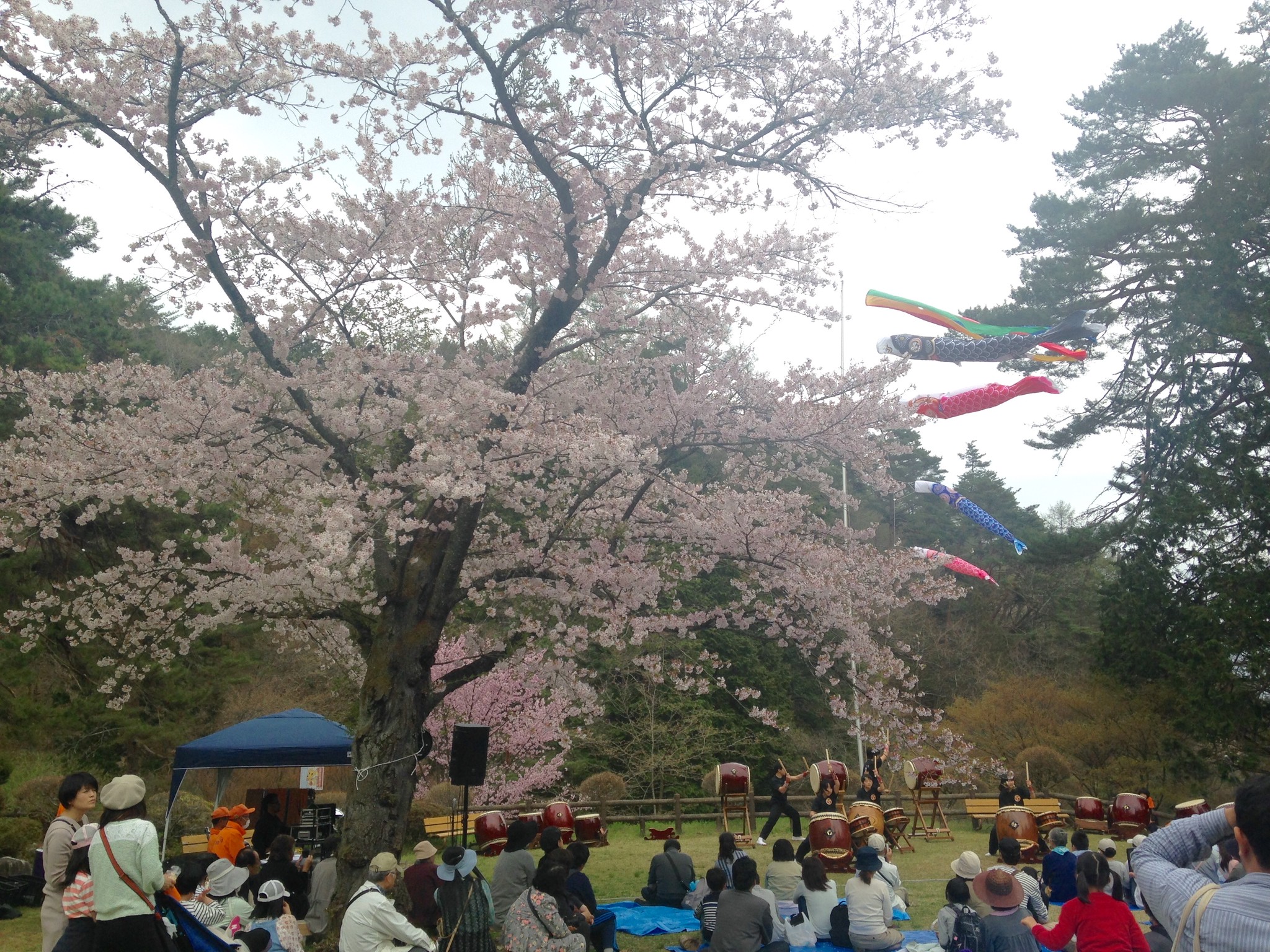 野底山森林公園へ 信州市田酪農