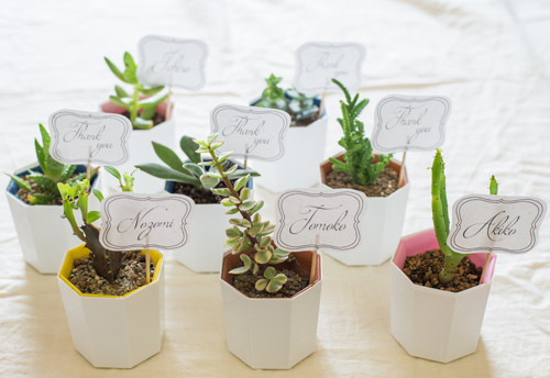 結婚式の席札に植物を ナチュラルで 海外の結婚式の様な席札を作りました Soraniwa 結婚式の席札に植物を ナチュラルで 海外の結婚式の様な席札を作りました Soraniwa