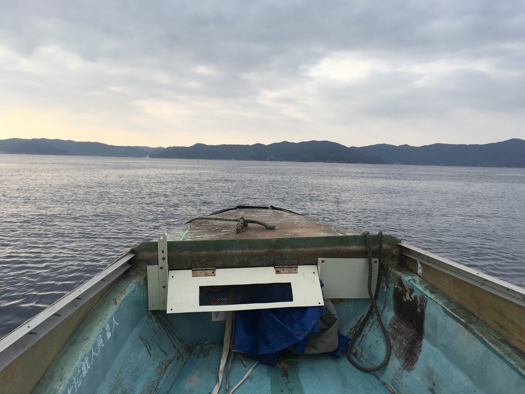 6年熟成 真きび醋 の販売を開始しました 奄美 加計呂麻島の きび酢 純黒糖 タイケイ製糖