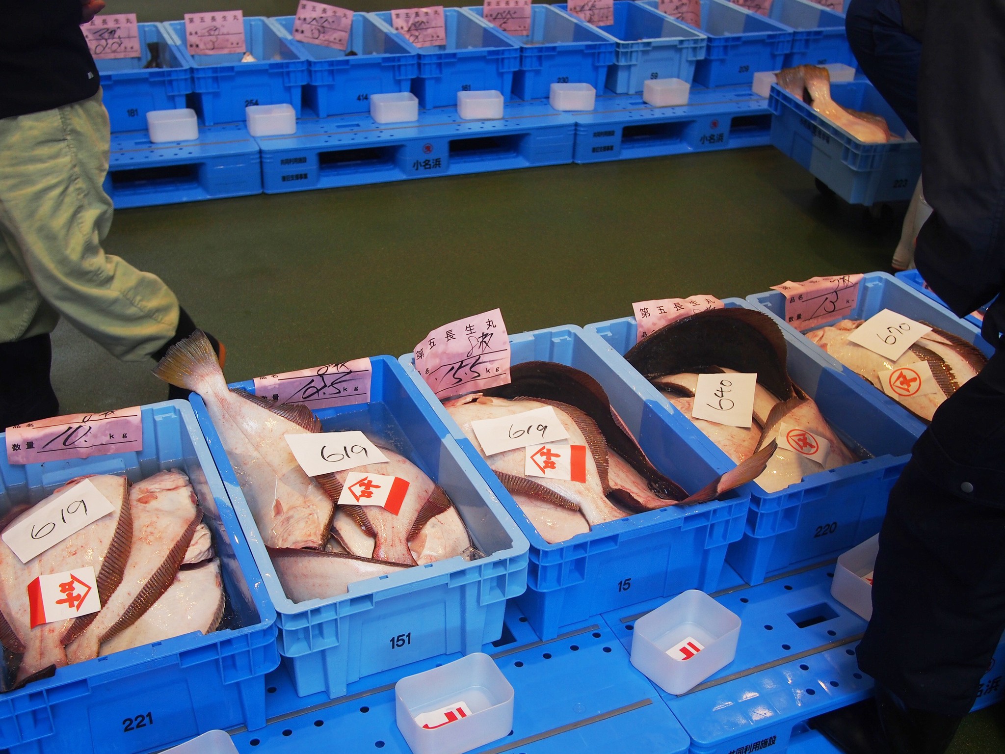 小名浜魚市場のセリレポート 上野台豊商店オンラインショップ