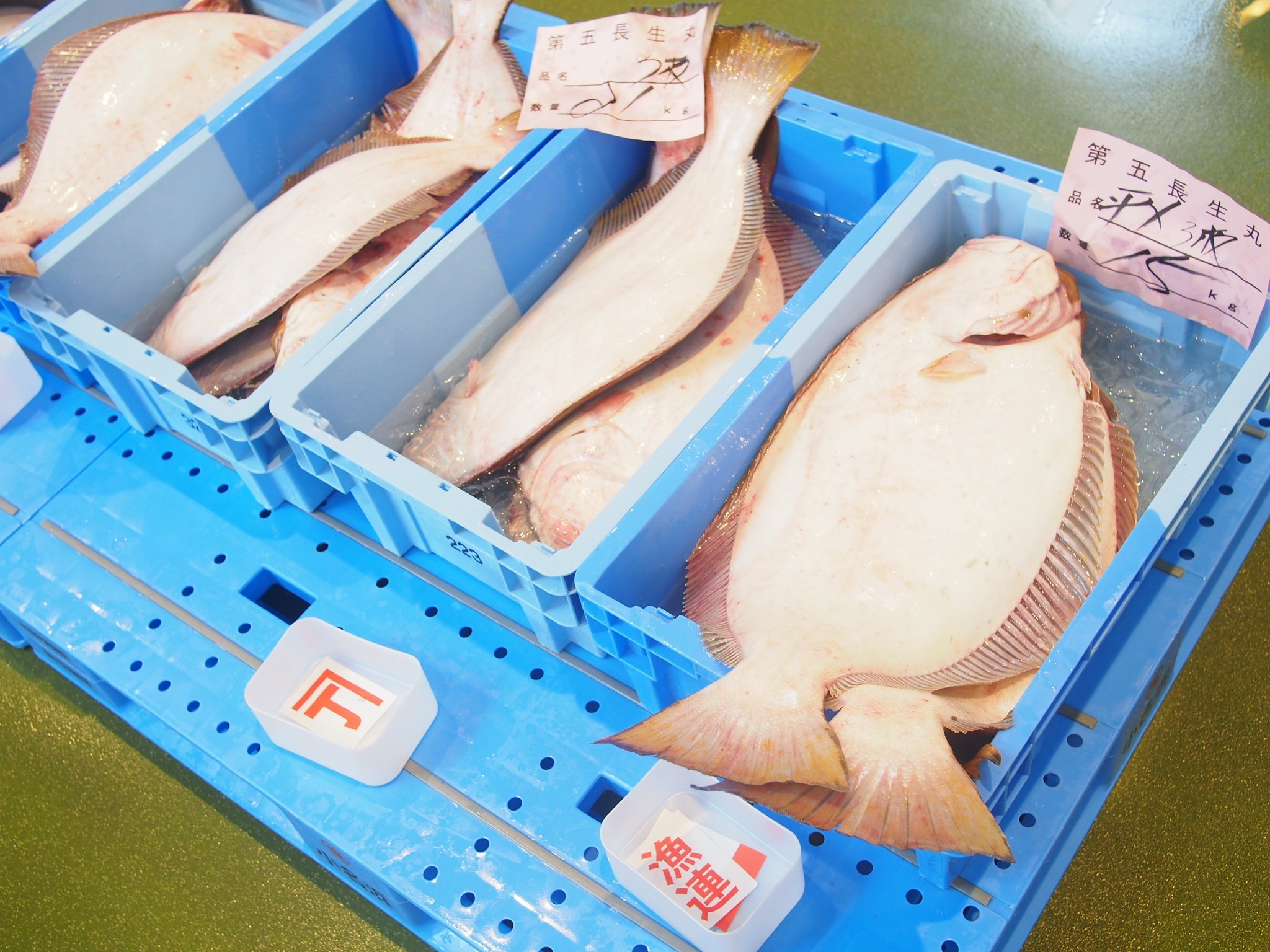小名浜魚市場のセリレポート 上野台豊商店オンラインショップ 小名浜魚市場のセリレポート 上野台豊商店オンラインショップ