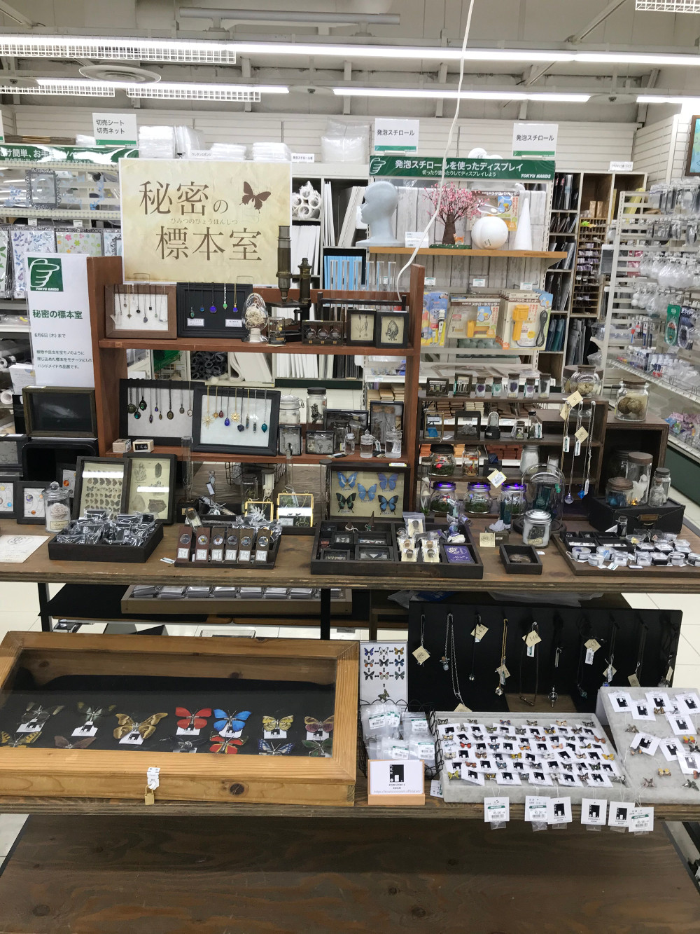 東急ハンズ 広島店 秘密の標本室 クーロンズルーム