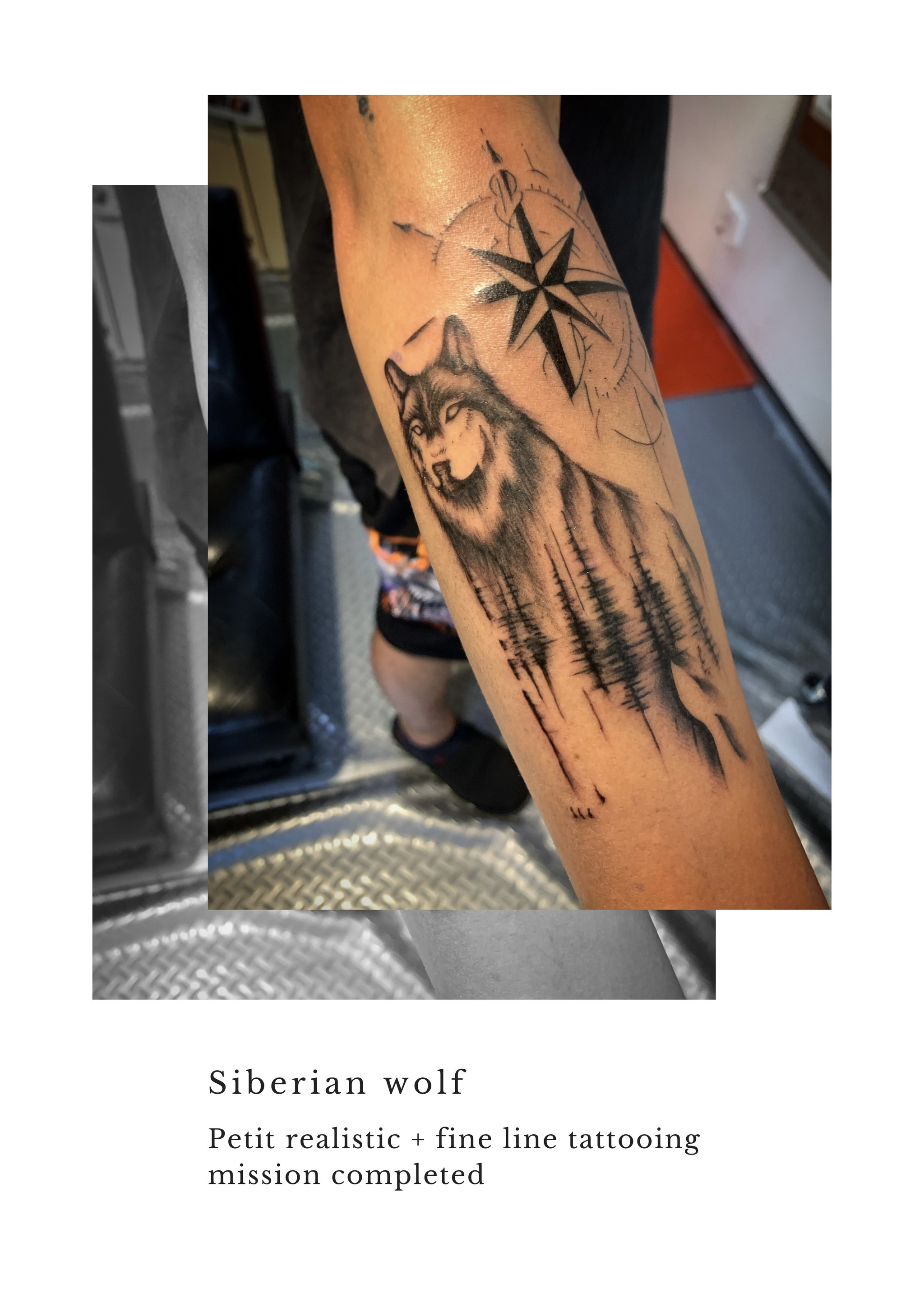 Siberian Wolf シベリアンウルフタトゥー 東京渋谷タトゥースタジオ 刺青師 渋谷伊彫 Loyal Tattoo Tokyo ロイヤルタトゥースタジオ 渋谷伊彫 東京 アメ村大阪