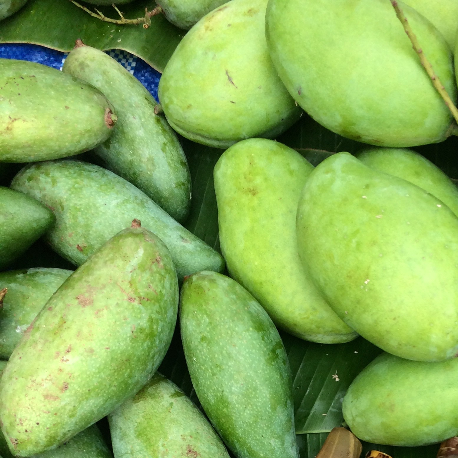青いマンゴー Asian Marche アジアン マルシェ