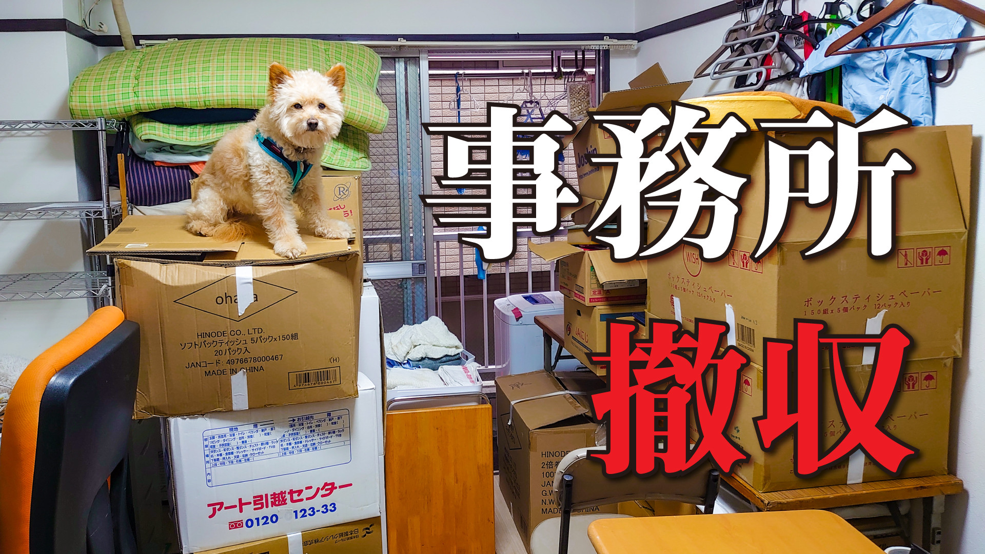 鹿児島の拠点事務所撤収 かぶりもの犬まんぺい Official Online Shop 鹿児島の拠点事務所撤収 かぶりもの犬まんぺい Official Online Shop