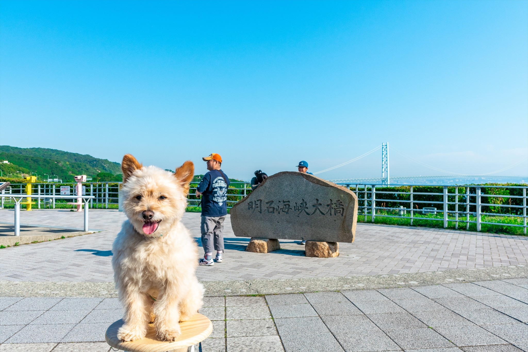 かぶりもの犬 まんぺい 全国行脚の旅 其の三十七 兵庫県 玉ねぎ かぶりもの犬まんぺい Official Online Shop