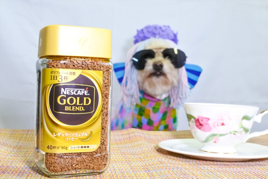 違いの分かるワンコになりたくて 前編 かぶりもの犬まんぺい Official Online Shop 違いの分かるワンコになりたくて 前編 かぶりもの犬まんぺい Official Online Shop
