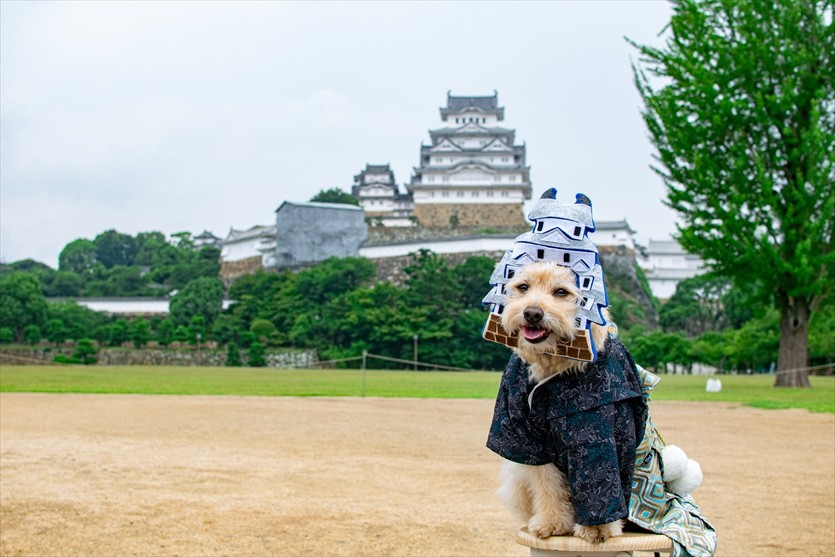 かぶりもの犬まんぺいの歩き方 姫路城 かぶりもの犬まんぺい Official Online Shop