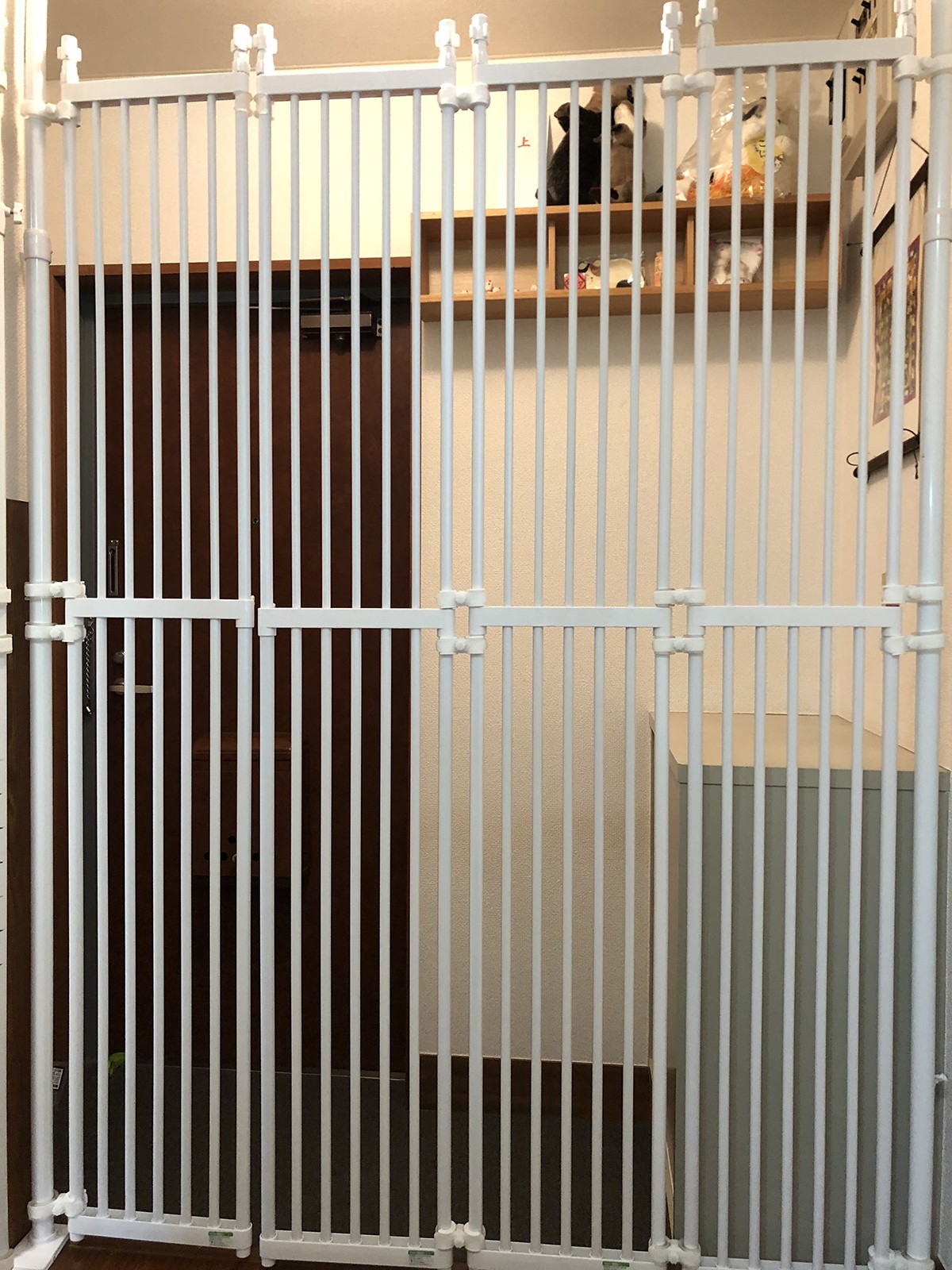 Blog にゃんふぇんすつくーる