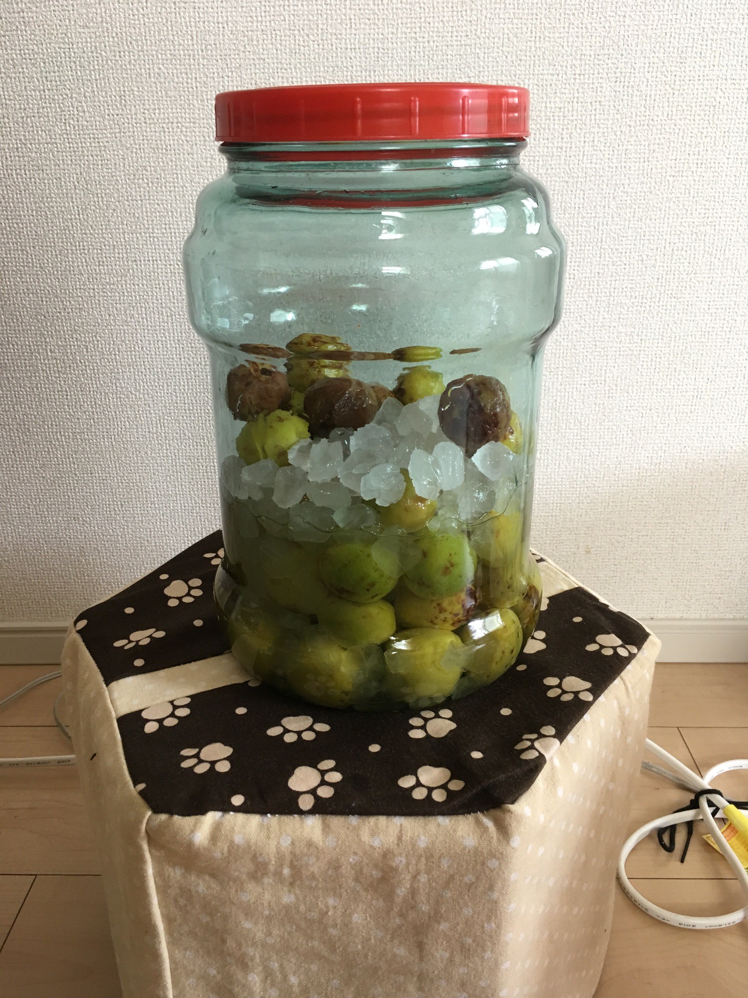 梅シロップ イラスト工房 風とたんぽぽ