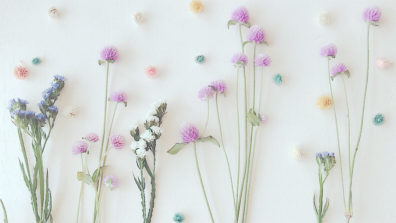 無料ダウンロード Zoomの背景画像 Fleur フルール プリザーブドフラワーwebshop 無料ダウンロード Zoomの背景画像 Fleur フルール プリザーブドフラワーwebshop
