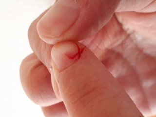 angeアンジュ base