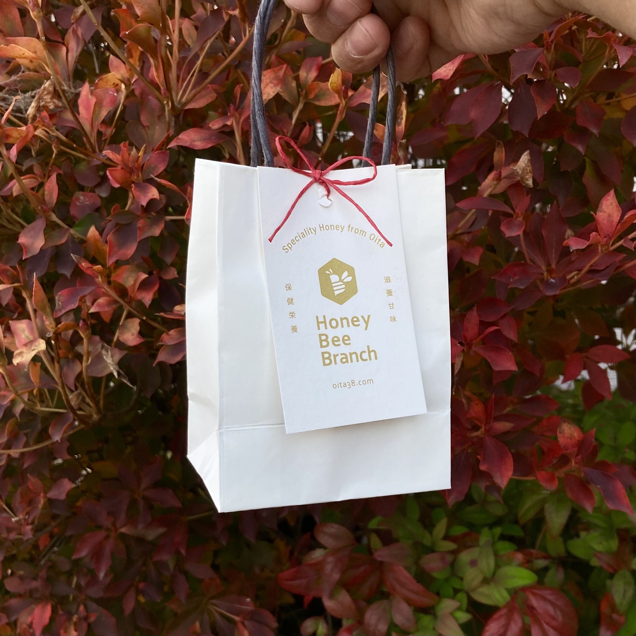 プチギフトに はちみついかがですか Honeybeebranch プチギフトに はちみついかがですか Honeybeebranch