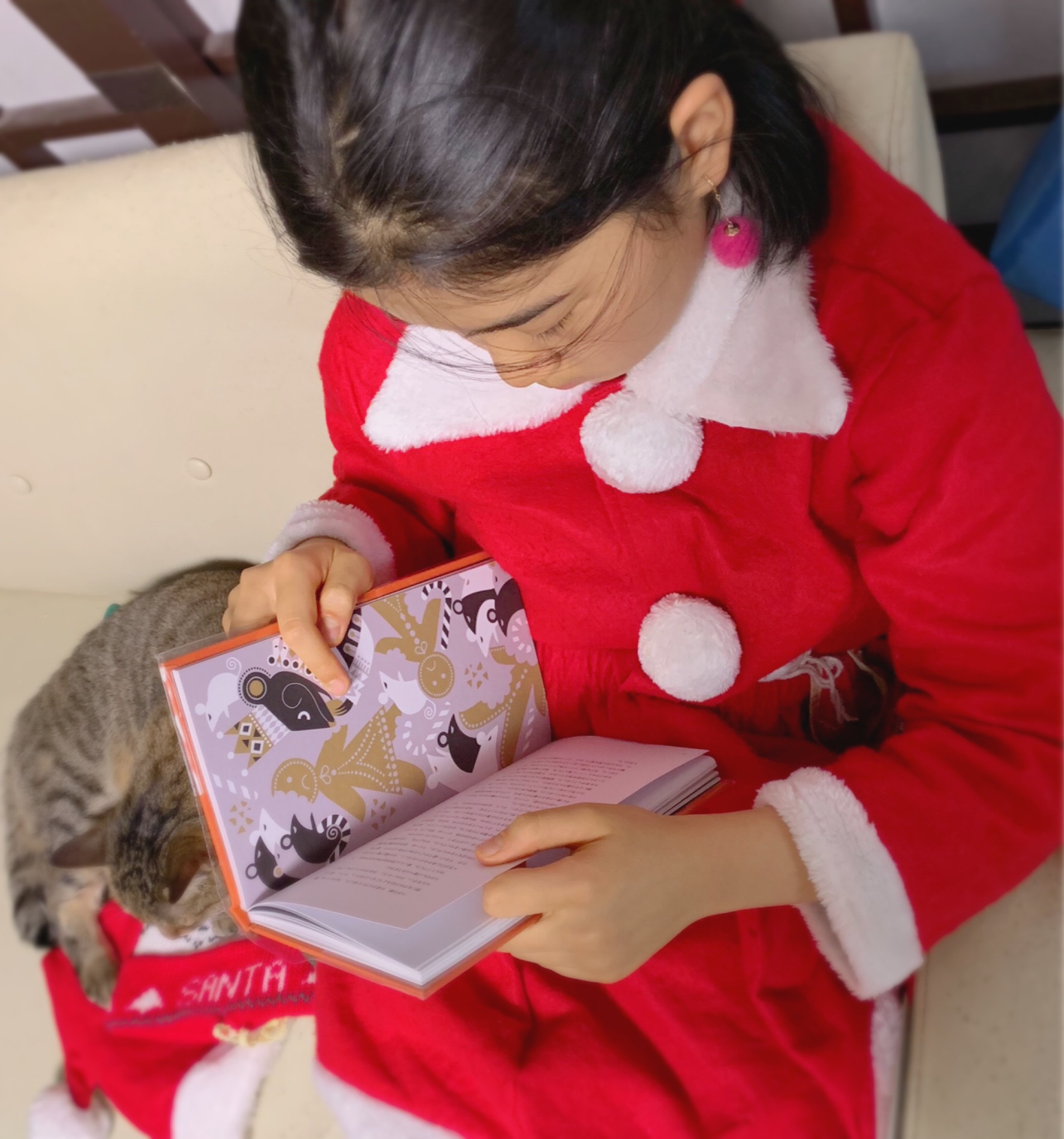 お家クリスマス Dot Flip