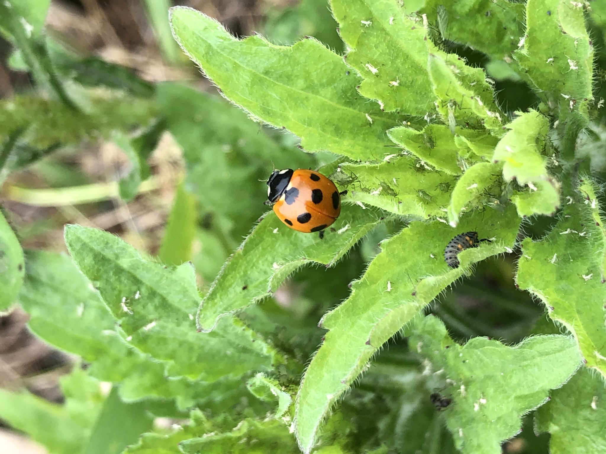 Blog タクミン工房