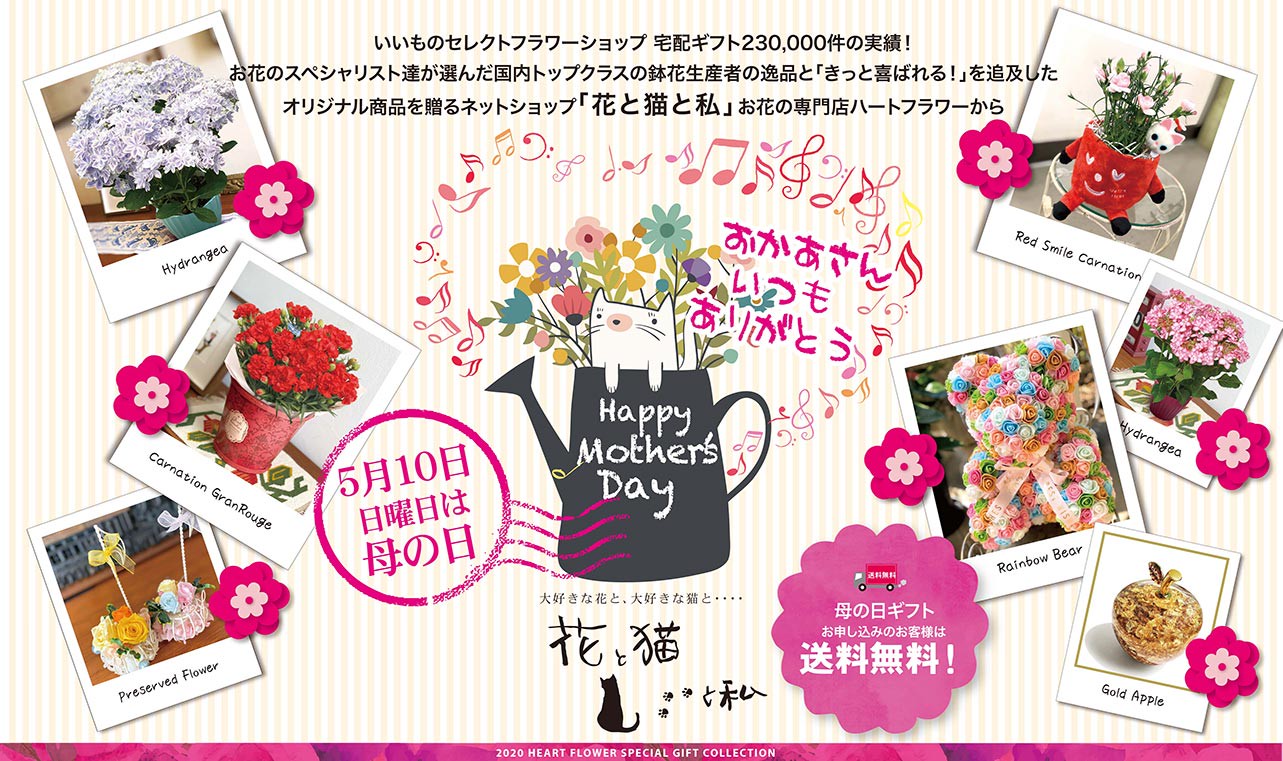 母の日 お母さんにお花をプレゼントして ありがとう を伝えましょう 送料無料 フラワーギフトのオンラインショップ 花と猫と私 By ハートフラワー