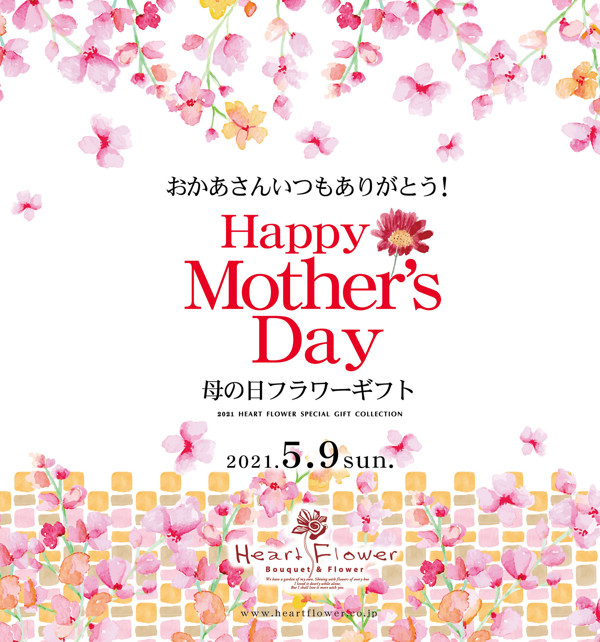 送料無料 21年母の日ギフト カーネーション あじさい 胡蝶蘭など各種ご予約受付中 フラワーギフトのオンラインショップ 花と猫と私 By ハートフラワー