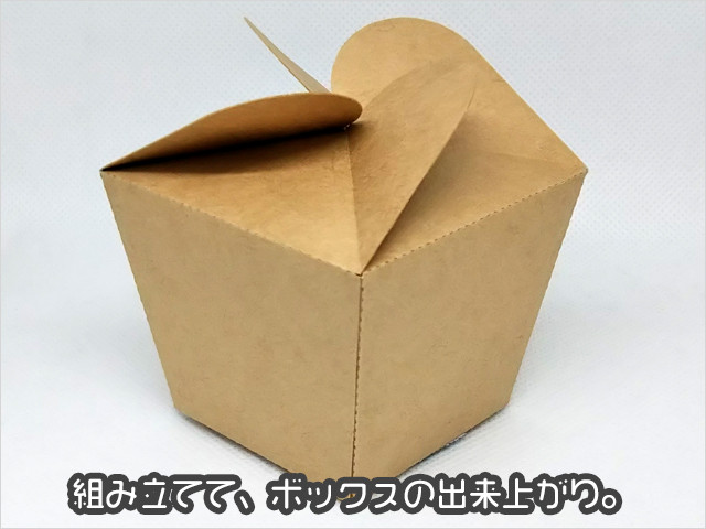 シルエットカメオ3で箱の展開図をカットしてみる Zakka2251
