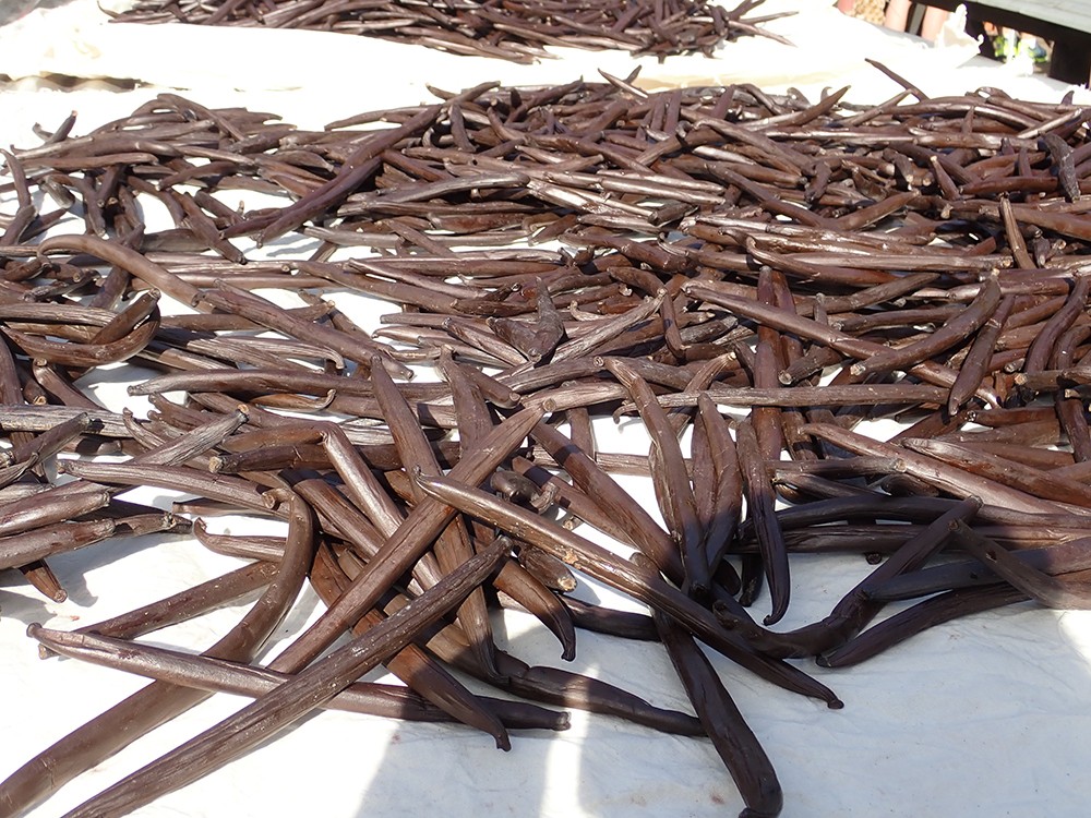 タヒチ産バニラビーンズ入荷しました 販売再開しました vanillanoshima