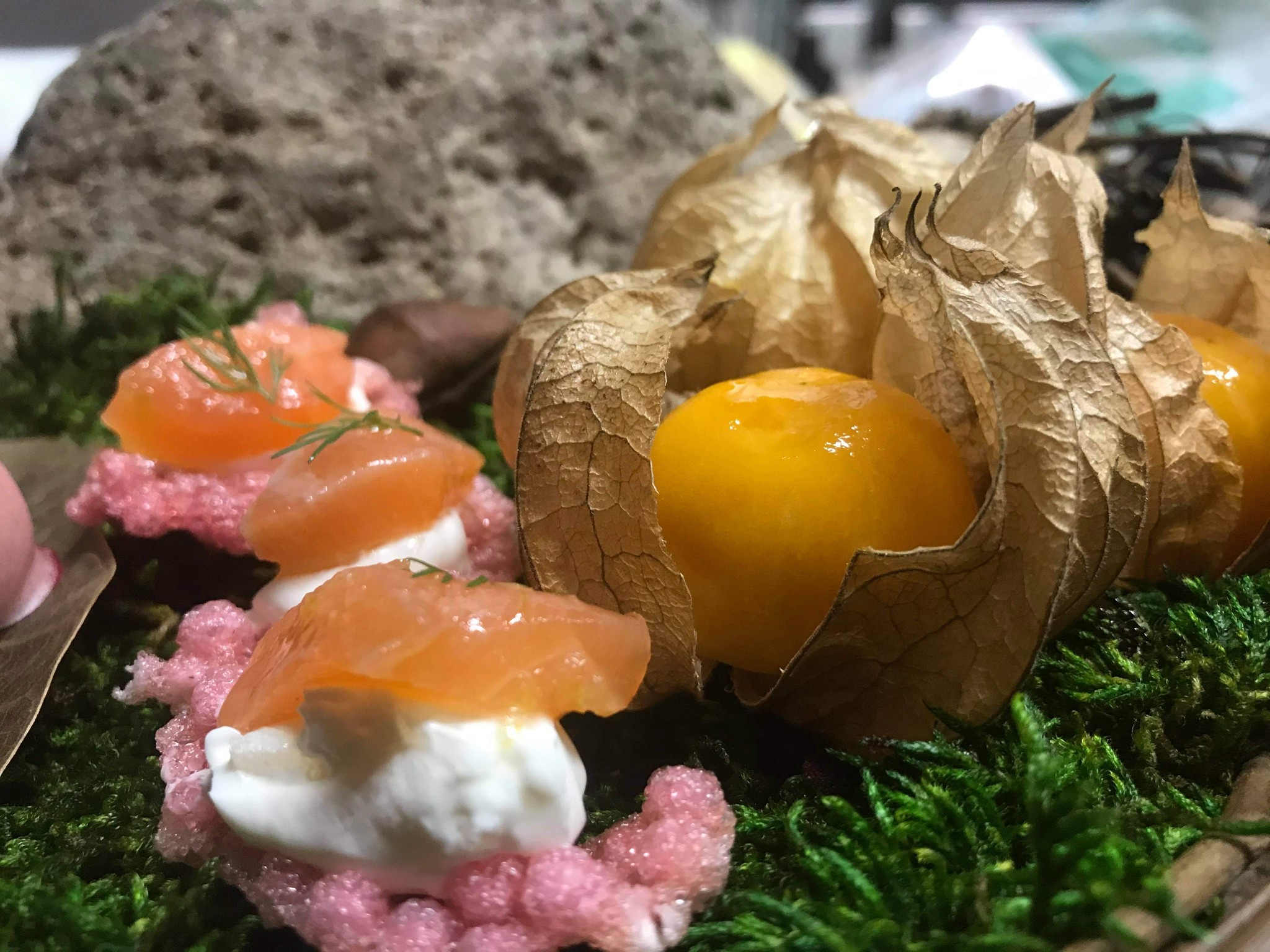 プロが作る高萩ほおずきの料理5 Organic Life 結農実works 高萩ほおずき プロが作る高萩ほおずきの料理5 Organic Life 結農実works 高萩ほおずき