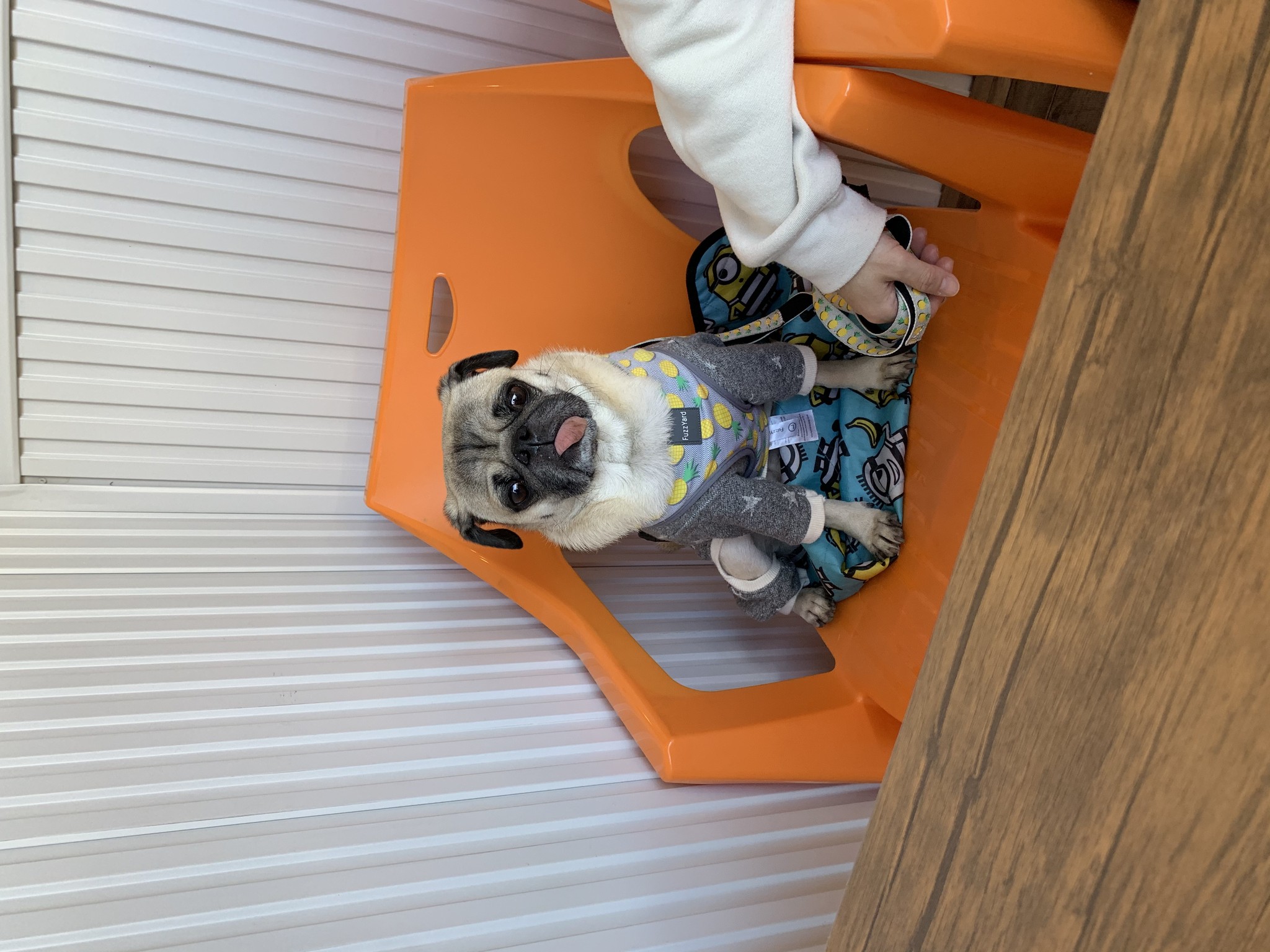 Pug Peaceイラスト集 パグ ピース Pug Peaceイラスト集 パグ ピース