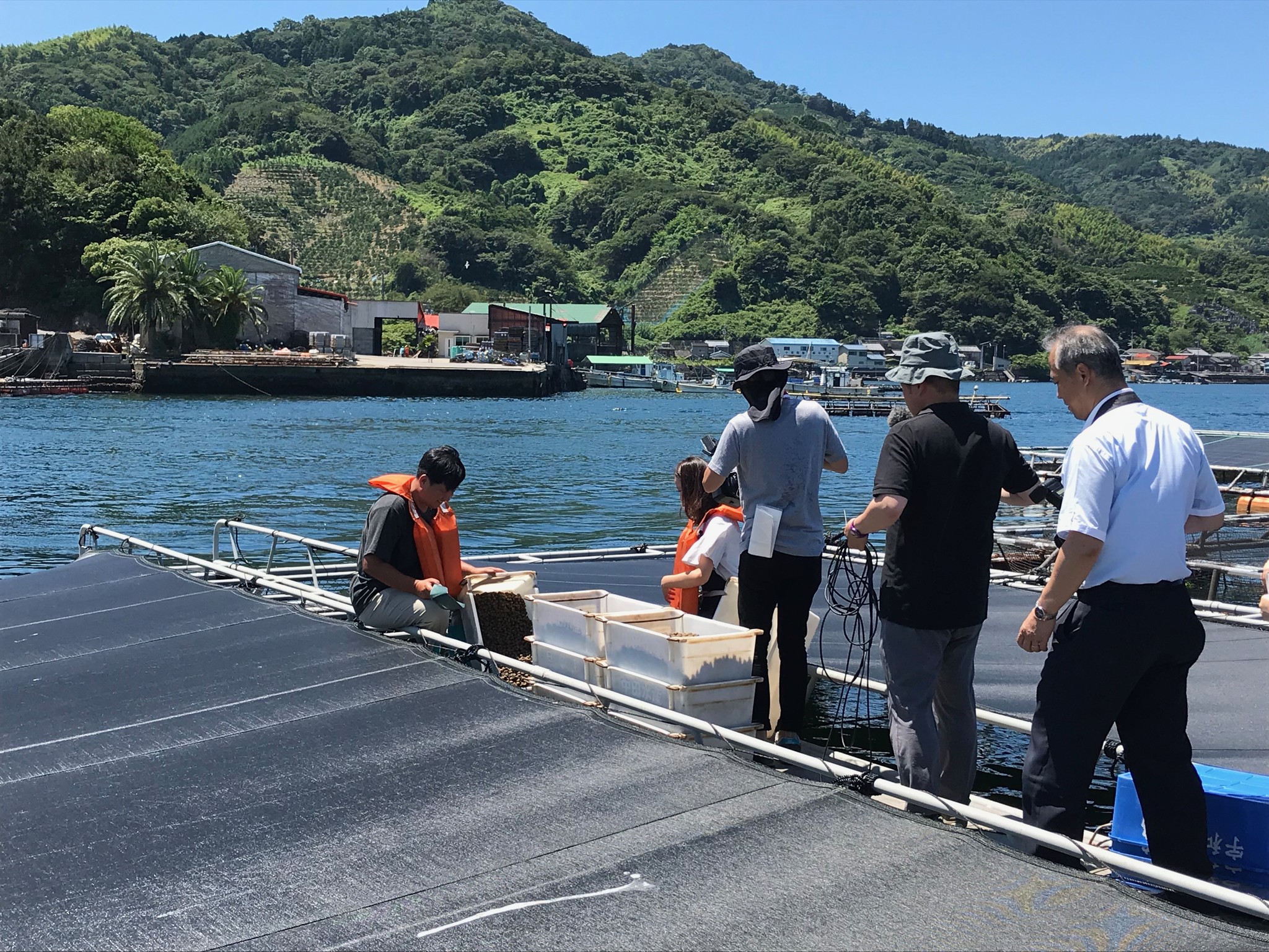 Blog 宇和島プロジェクト