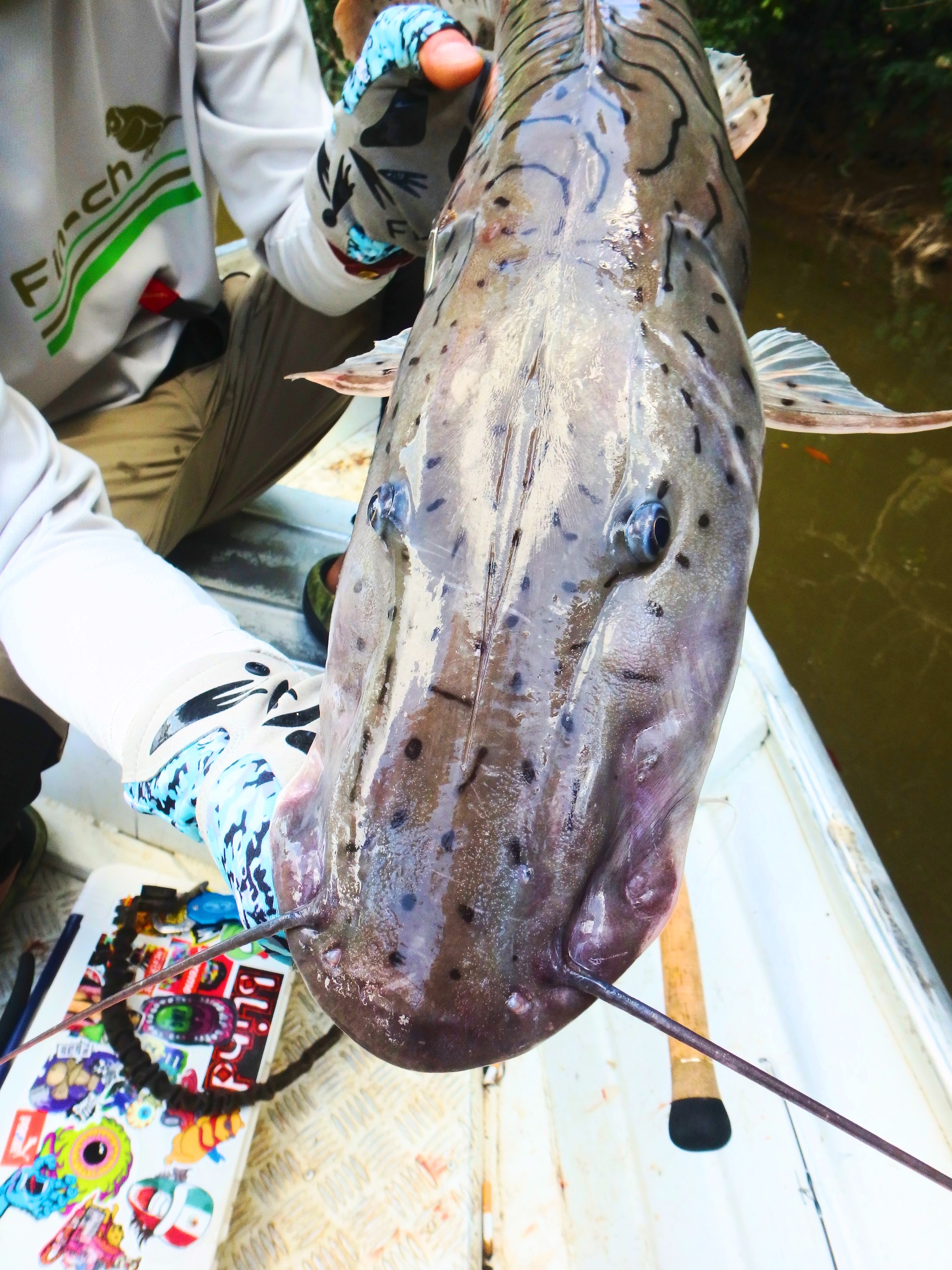 ガイアナ釣行 2日目 釣り初日 Akamundi