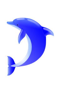 アニマルアルファベット D ドルフィン Kiffa キッファ