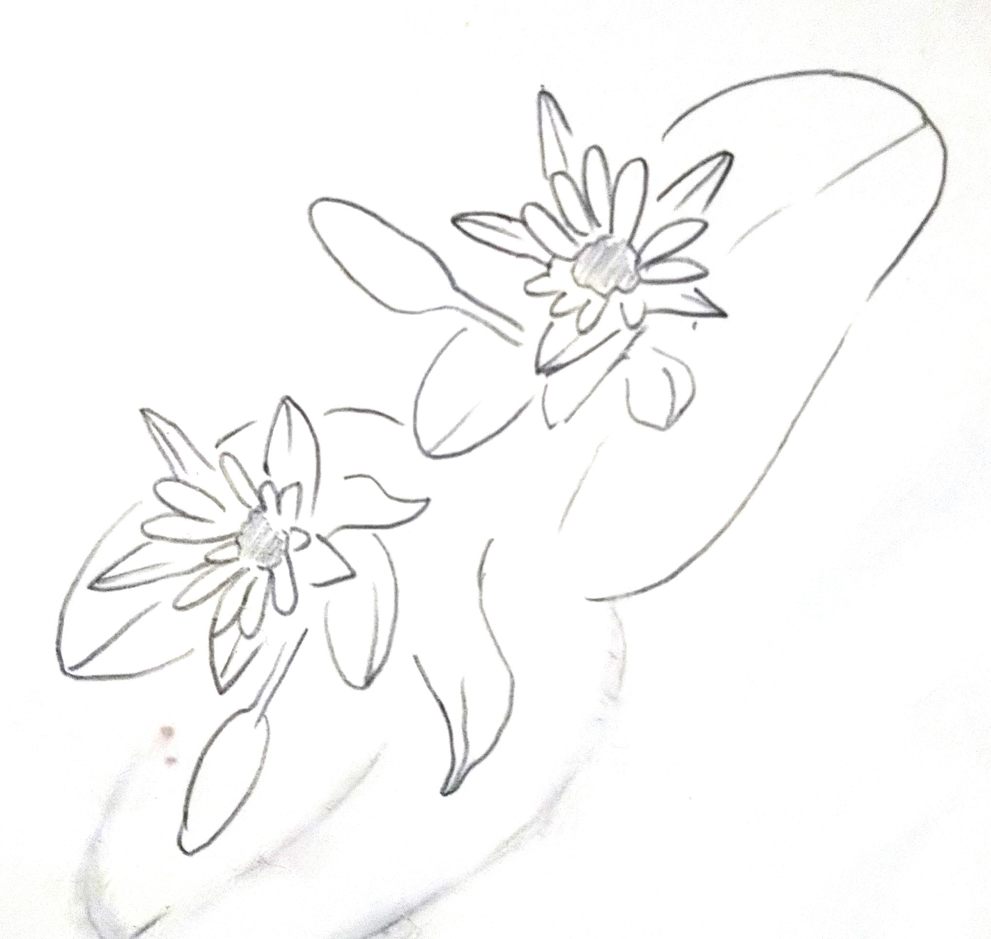 おやつの花のロゴ おやつ の花