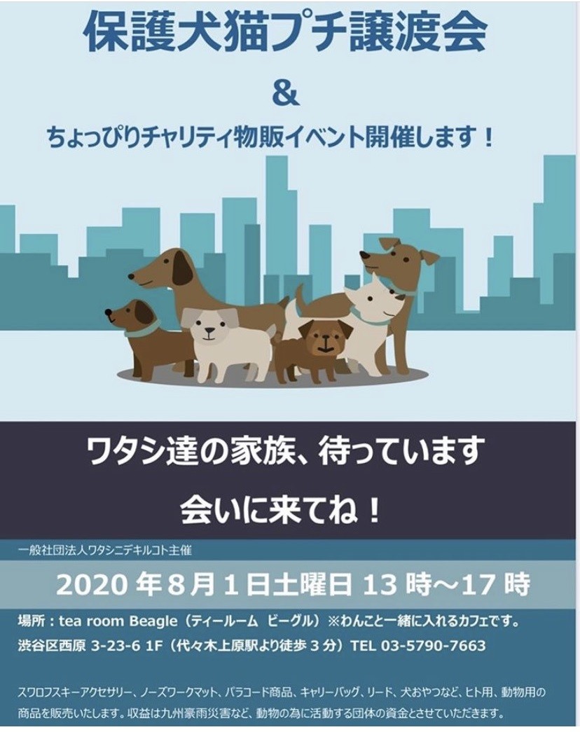 保護犬猫プチ譲渡会 In 代々木上原 開催のお知らせ ピクシーズマーケット Pixie S Market