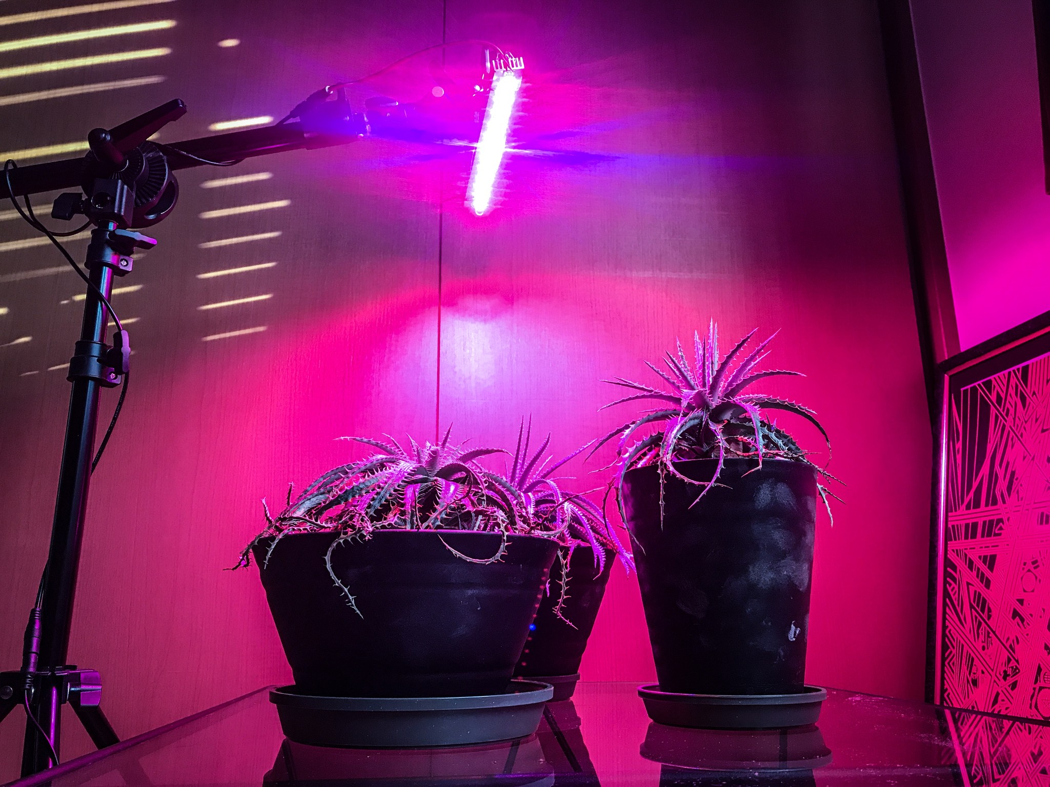 植物育成ライトを制作 | VIRGINAL