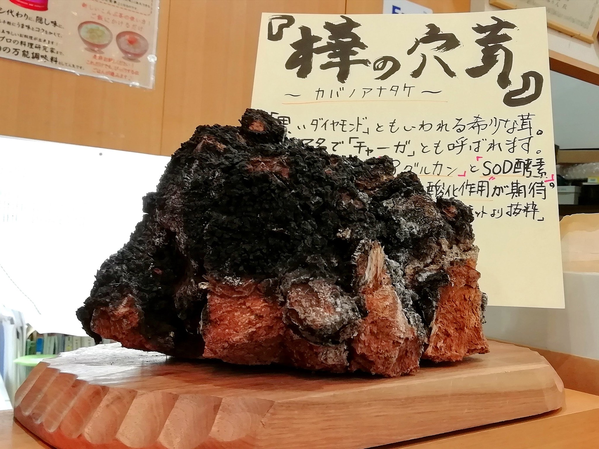 カバノアナタケ入荷 室蘭 清香園茶舗 ネットショップ お茶の販売 カバノアナタケ入荷 室蘭 清香園茶舗 ネットショップ お茶の販売
