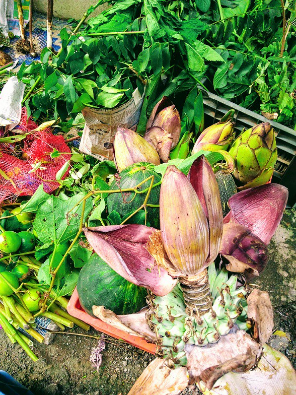 私のハーブ シャンプー インドカディ インド雑貨の専門店 Manishanisha マニーシャニーシャ