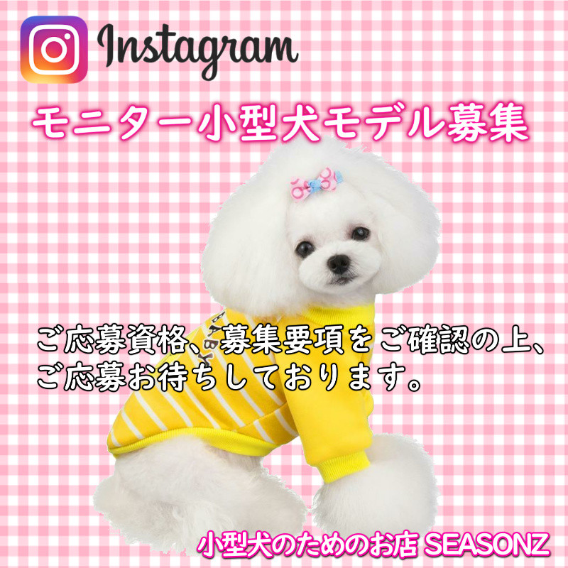 Instagram掲載 モデル犬募集のお知らせ 小型犬のためのお店 Seasonz かわいいペットウェアの通販