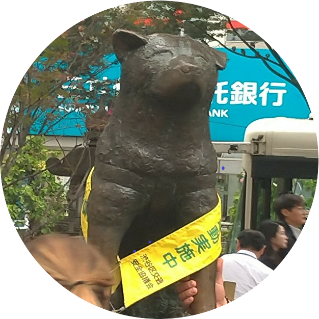 ペットのお名前ランキング 付けてはいけないネーミングとは 小型犬のためのお店 Seasonz かわいいペットウェアの通販
