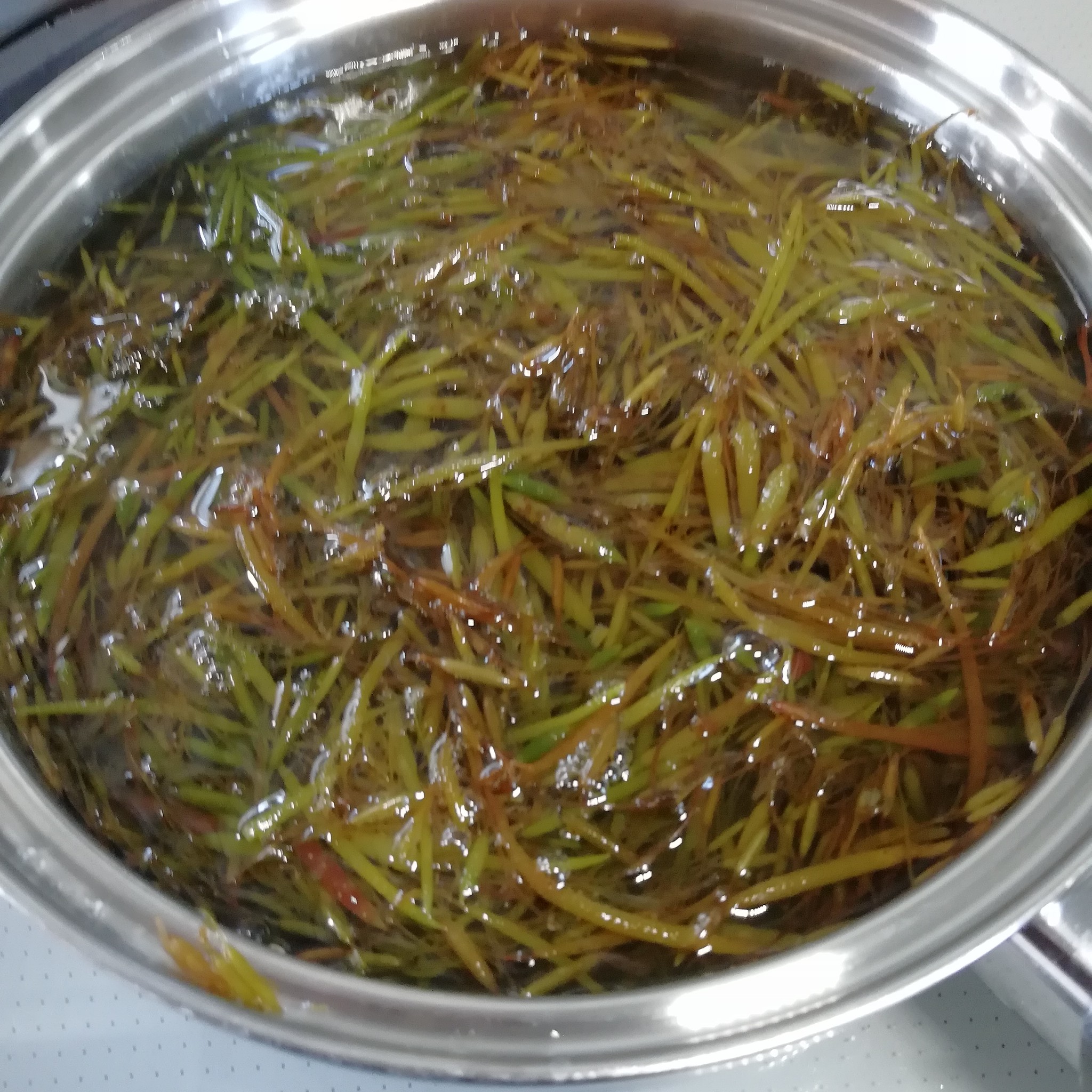 アカモク食べてみた 下関ふぐ老舗問屋 山西水産