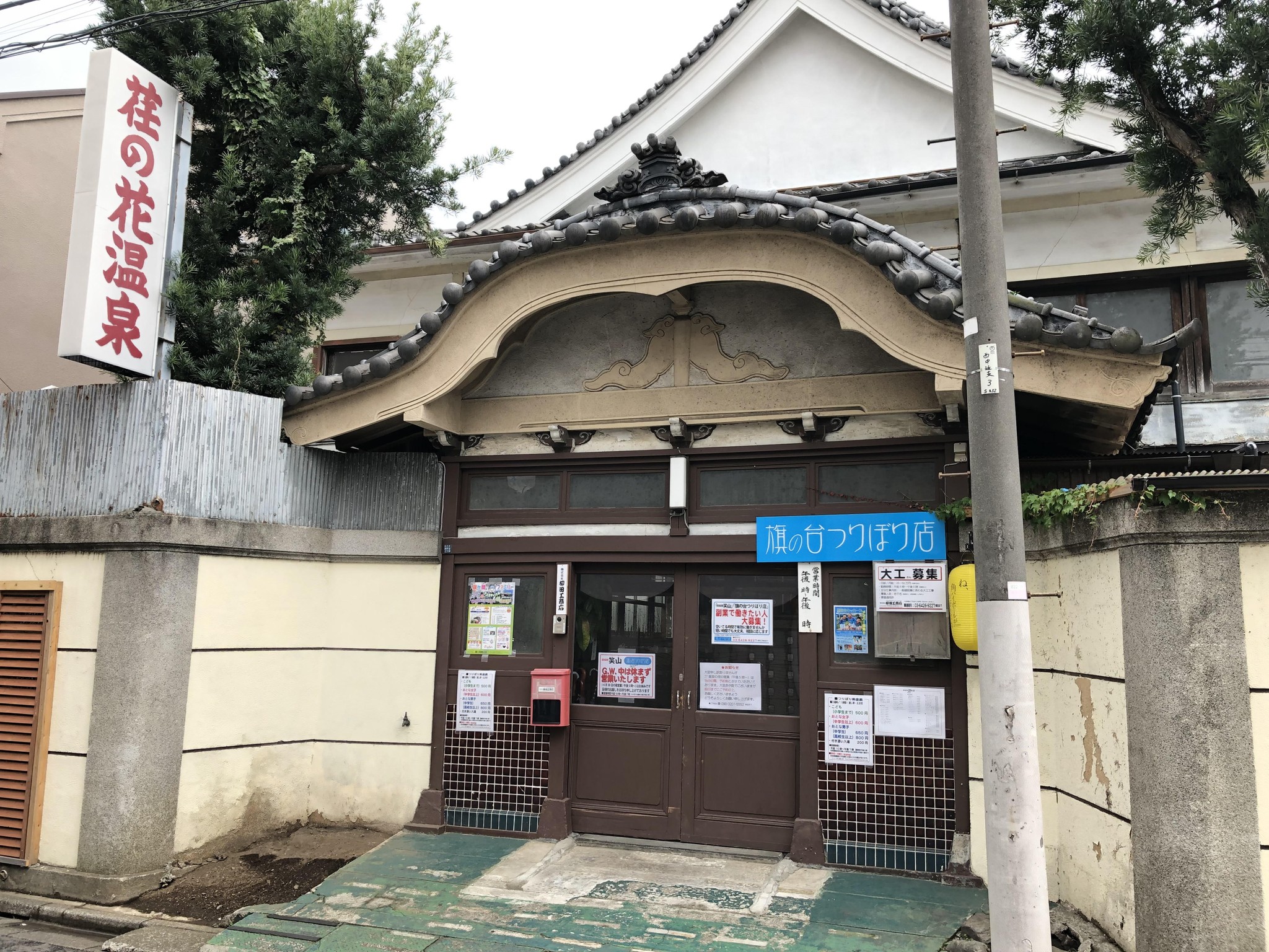 釣りガイド 鯉の釣り堀 Rental Fishing
