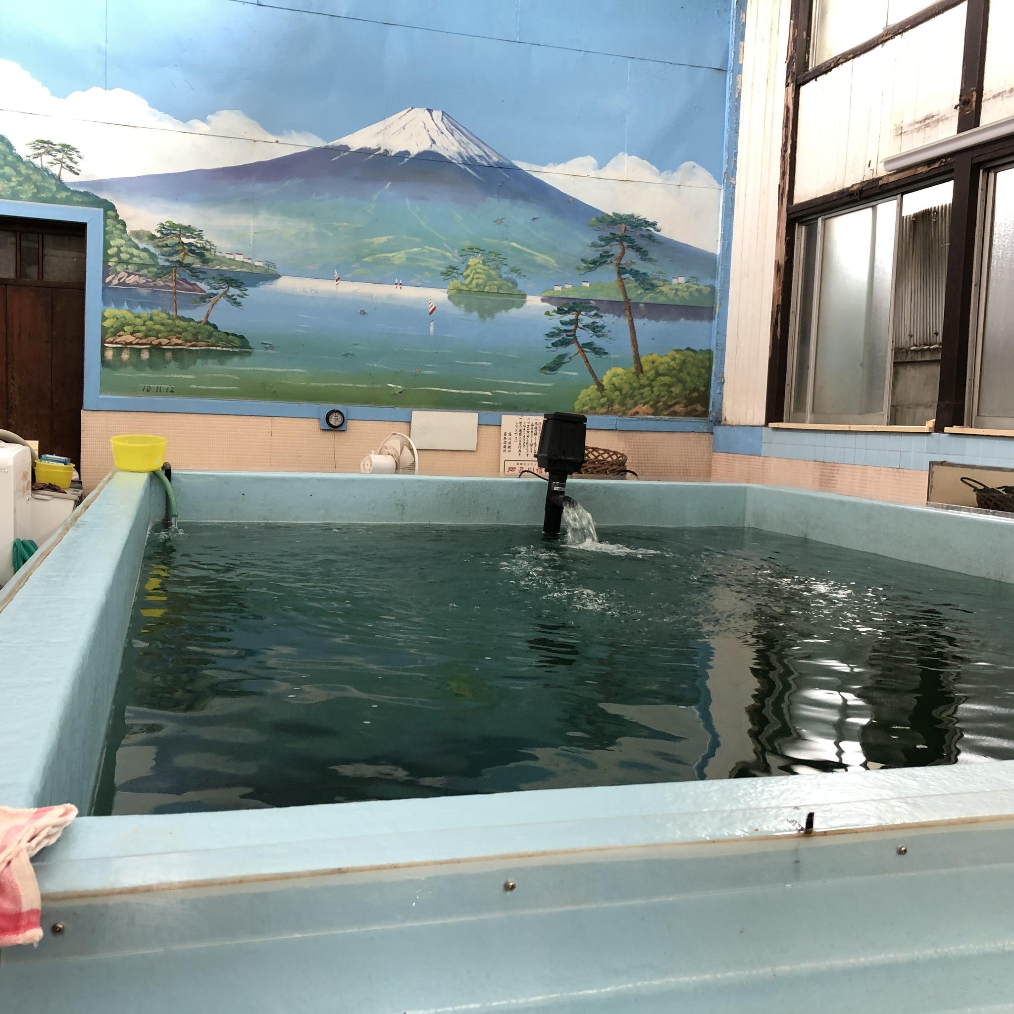釣りガイド 鯉の釣り堀 Rental Fishing 釣りガイド 鯉の釣り堀 Rental Fishing