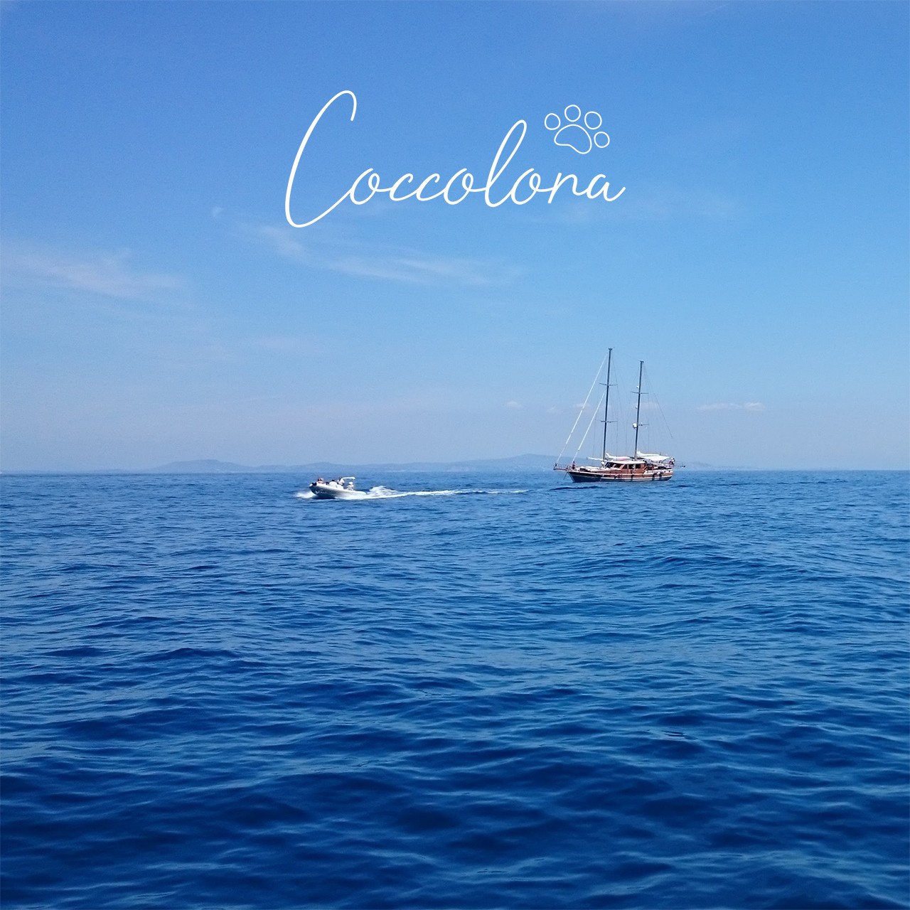 イタリアの海にインスパイアされたペットと飼い主がペアーでオシャレを楽しめるアクセサリー Coccolona イタリアの海にインスパイアされたペットと飼い主がペアーでオシャレを楽しめるアクセサリー Coccolona