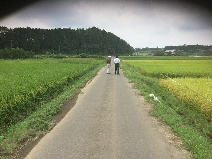 高純度ケイ酸 Absm Sim の稲作効果画像 常識を変えるセンチュウ対策 線虫捕食菌配合資材 高純度ケイ酸 Absm Sim の稲作効果画像 常識を変えるセンチュウ対策 線虫捕食菌配合資材