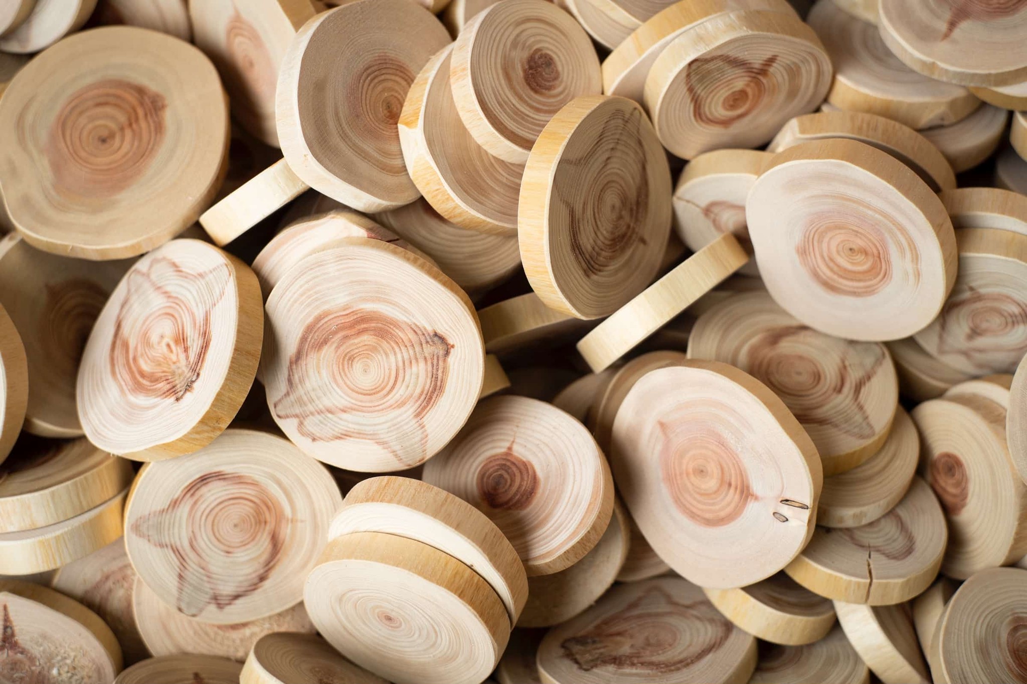 東京チェンソーズ オンラインストア